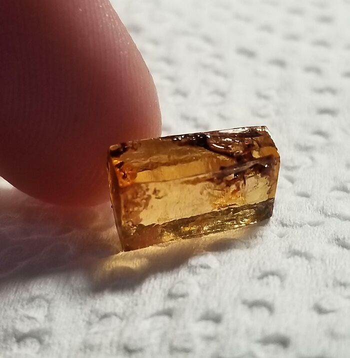 50 Times People Sat To Eat Only To Get Their Appetite Ruined By Weird And Gross Discoveries 50 Times People Sat To Eat Only To Get Their Appetite Ruined By Weird And Gross Discoveries