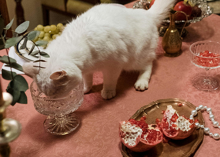 “What’s The Most Bizarre ‘House Rule’ You’ve Encountered At Someone Else’s Home?” (40 Answers) “What’s The Most Bizarre ‘House Rule’ You’ve Encountered At Someone Else’s Home?” (40 Answers)