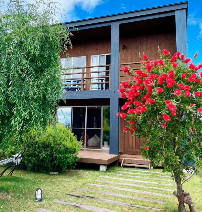 Learn How to Plant, Grow, and Maintain a Beautiful Bottle Brush Tree