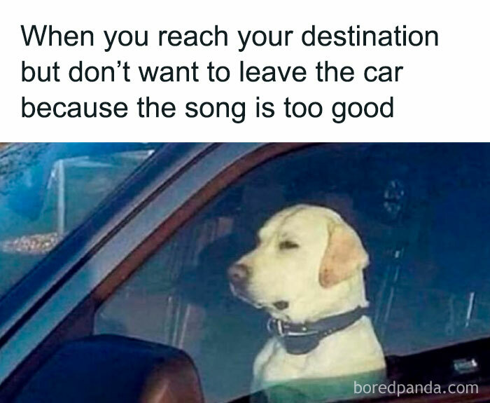 This IG Page Promises To “Heal Through Laughter”, Here Are 50 Memes That Do Exactly That This IG Page Promises To “Heal Through Laughter”, Here Are 50 Memes That Do Exactly That