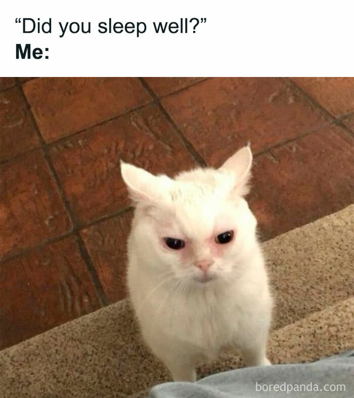 This IG Page Promises To “Heal Through Laughter”, Here Are 50 Memes That Do Exactly That This IG Page Promises To “Heal Through Laughter”, Here Are 50 Memes That Do Exactly That