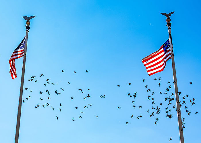 50 People Share Random Facts That They Were Shocked To Learn