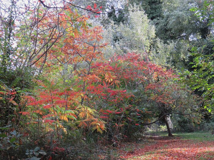 Hey Pandas, Post The Best Photos You Took This October (Closed) Hey Pandas, Post The Best Photos You Took This October (Closed)