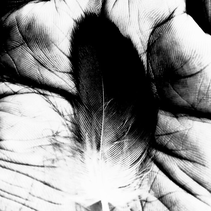 Hey Pandas, Post The Best Photos You Took This October (Closed) Hey Pandas, Post The Best Photos You Took This October (Closed)