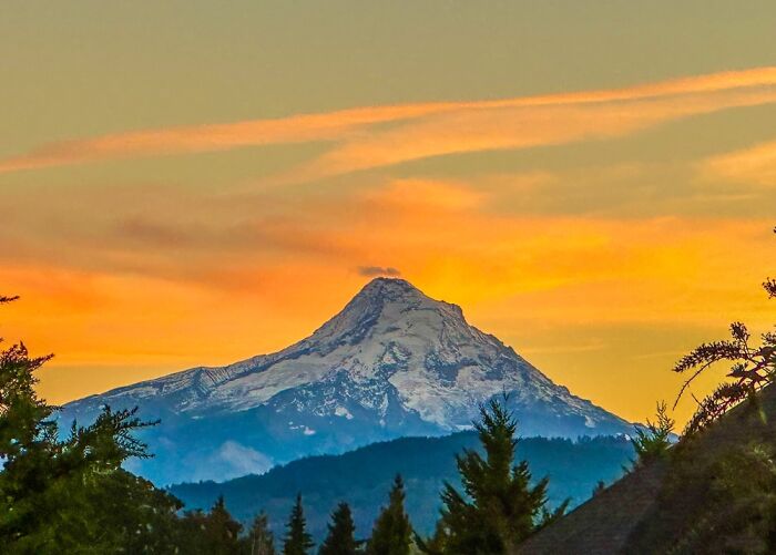 Hey Pandas, Post The Best Photos You Took This October (Closed) Hey Pandas, Post The Best Photos You Took This October (Closed)