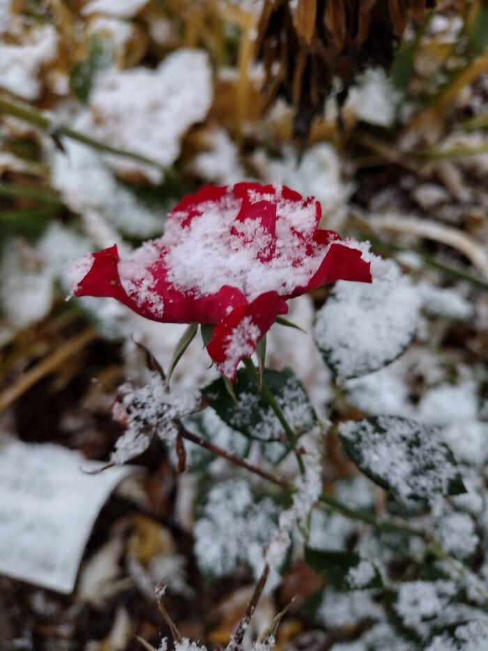 Hey Pandas, Post The Best Photos You Took This October (Closed) Hey Pandas, Post The Best Photos You Took This October (Closed)