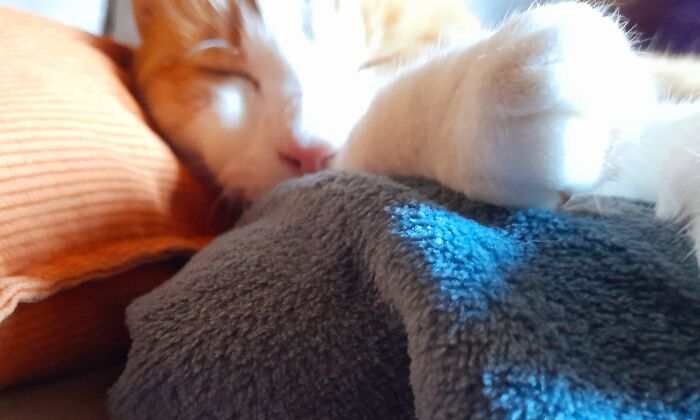 Hey Pandas, Post The Best Photos You Took This October (Closed) Hey Pandas, Post The Best Photos You Took This October (Closed)