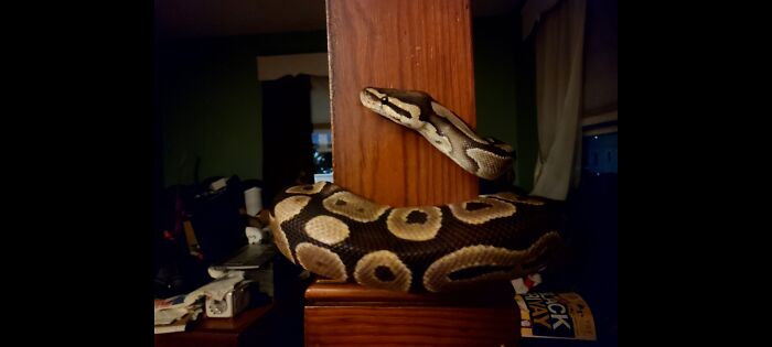 Hey Pandas, Post The Best Photos You Took This October (Closed) Hey Pandas, Post The Best Photos You Took This October (Closed)