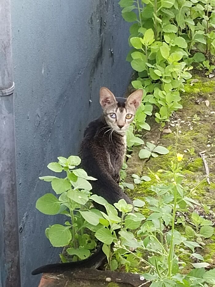 Hey Pandas, Post The Best Photos You Took This October (Closed) Hey Pandas, Post The Best Photos You Took This October (Closed)