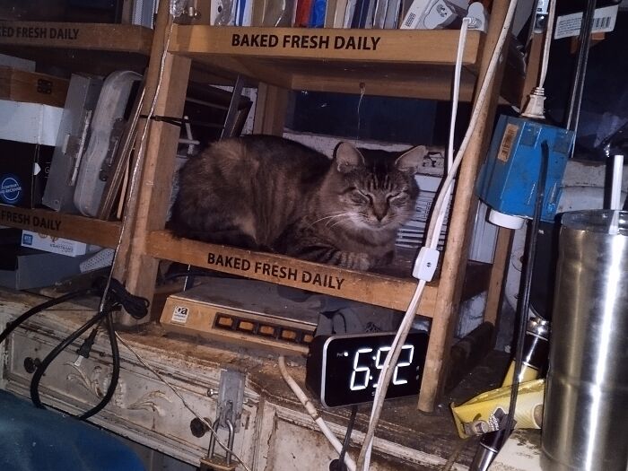 Hey Pandas, Post The Best Photos You Took This October (Closed) Hey Pandas, Post The Best Photos You Took This October (Closed)