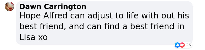 Lisa Kudrow &ldquo;Wants To Adopt Matthew Perry’s Dog&rdquo; As She Shares Sad Theory Behind His Death