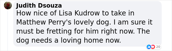 Lisa Kudrow &ldquo;Wants To Adopt Matthew Perry’s Dog&rdquo; As She Shares Sad Theory Behind His Death
