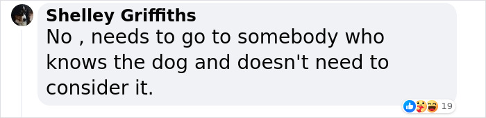 Lisa Kudrow &ldquo;Wants To Adopt Matthew Perry’s Dog&rdquo; As She Shares Sad Theory Behind His Death