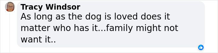 Lisa Kudrow &ldquo;Wants To Adopt Matthew Perry’s Dog&rdquo; As She Shares Sad Theory Behind His Death