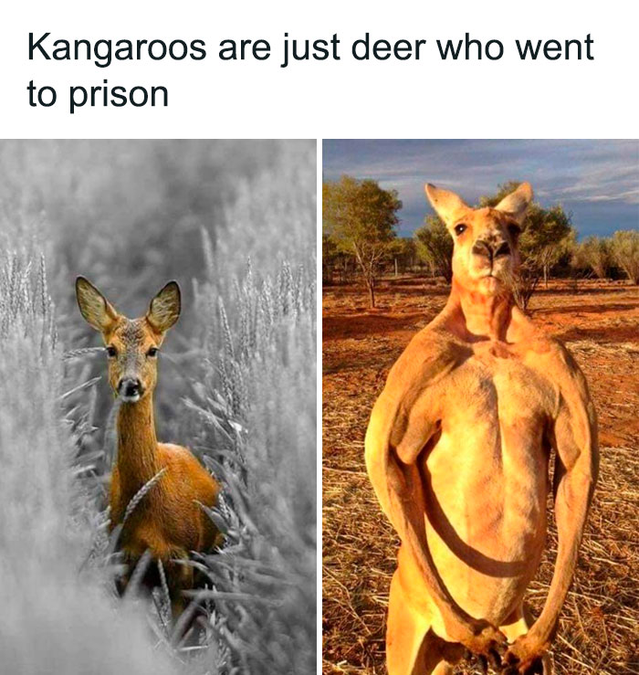 50 Hilarious Memes That Kind Of Have A Point, As Shared On &#8220;Brainy Memes&#8221; (New Pics)