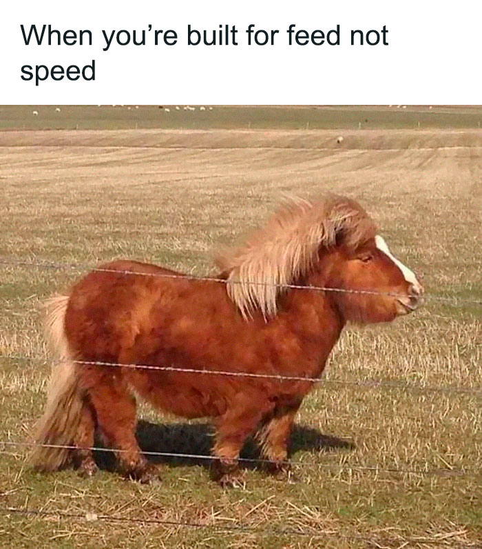 50 Hilarious Memes That Kind Of Have A Point, As Shared On &#8220;Brainy Memes&#8221; (New Pics)