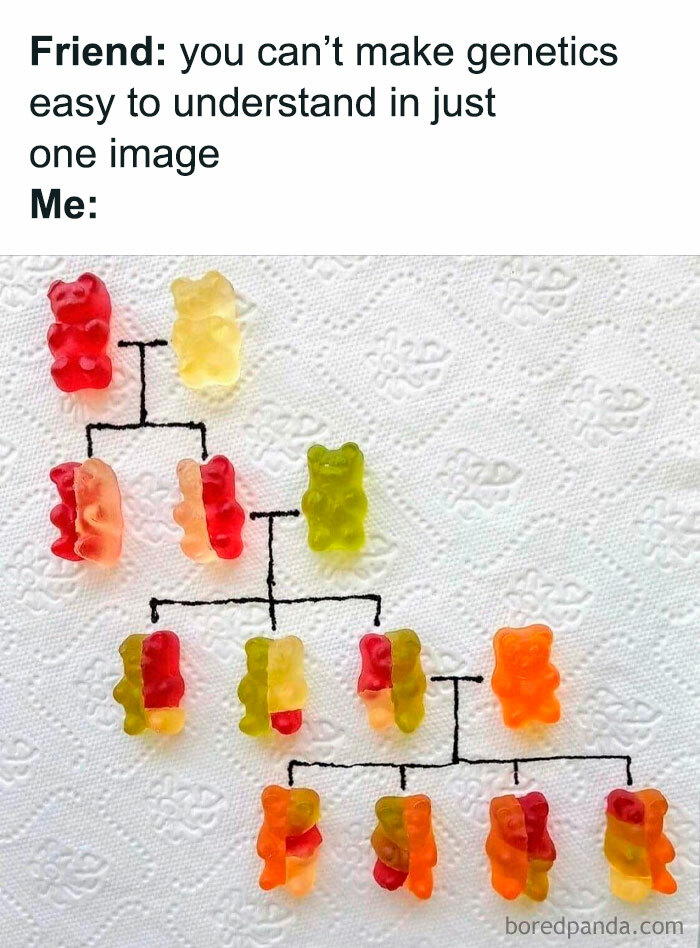 30 Cool And Interesting Guides That Teach You More In Images Than Any Parenting Book Can 30 Cool And Interesting Guides That Teach You More In Images Than Any Parenting Book Can