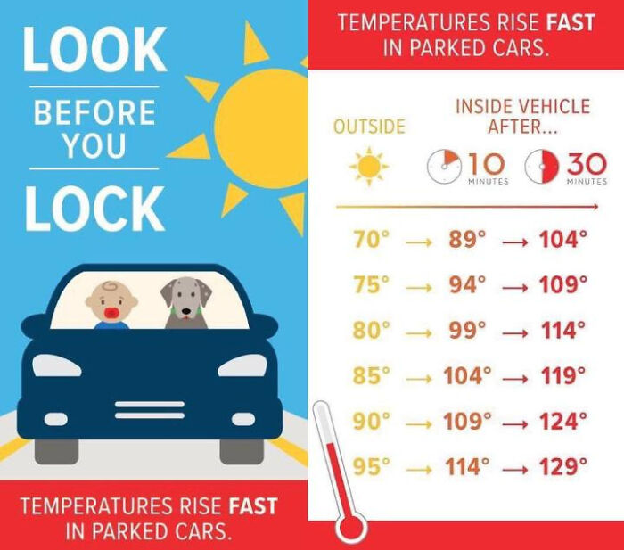 30 Cool And Interesting Guides That Teach You More In Images Than Any Parenting Book Can 30 Cool And Interesting Guides That Teach You More In Images Than Any Parenting Book Can