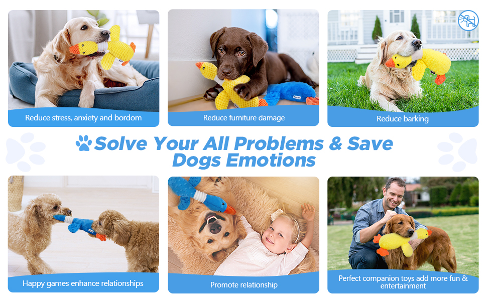 How to Stop Dogs from Fighting in the Same Household