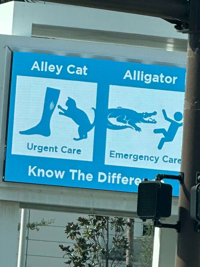 ‘Mildly Interesting’: 50 Pics Of Random Things To Pique Your Interest Very Slightly (New Pics) ‘Mildly Interesting’: 50 Pics Of Random Things To Pique Your Interest Very Slightly (New Pics)