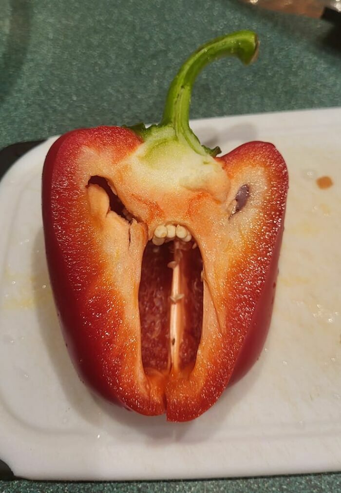 40 Funny Examples Of Regular Objects Suddenly Showing Human Characteristics 40 Funny Examples Of Regular Objects Suddenly Showing Human Characteristics