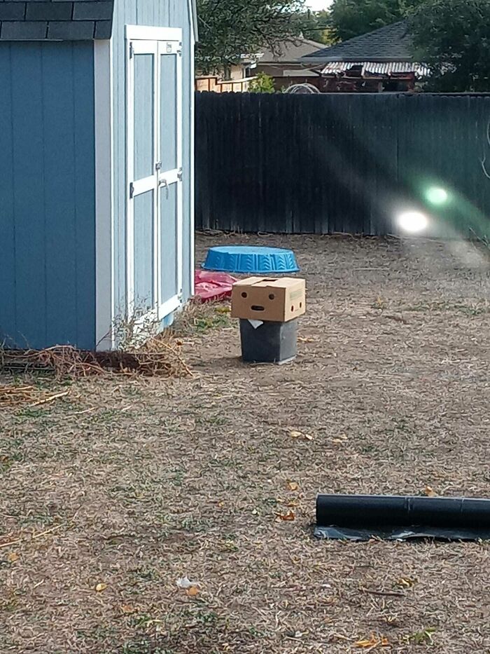 40 Funny Examples Of Regular Objects Suddenly Showing Human Characteristics 40 Funny Examples Of Regular Objects Suddenly Showing Human Characteristics