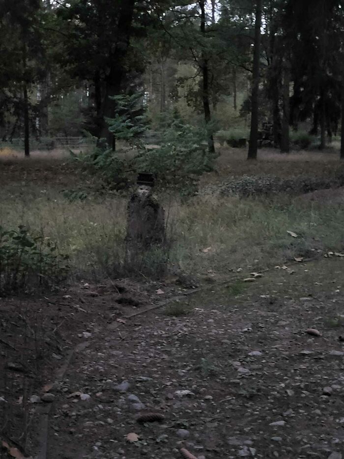 40 Funny Examples Of Regular Objects Suddenly Showing Human Characteristics 40 Funny Examples Of Regular Objects Suddenly Showing Human Characteristics