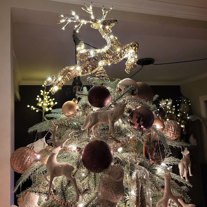 60 Magical Christmas Tree Decorations and Ideas for Jolly Celebrations 60 Magical Christmas Tree Decorations and Ideas for Jolly Celebrations