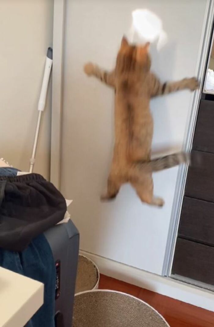 30 People Who Took The Funniest Pics And Finally Had A Chance To Show Them To The World 30 People Who Took The Funniest Pics And Finally Had A Chance To Show Them To The World