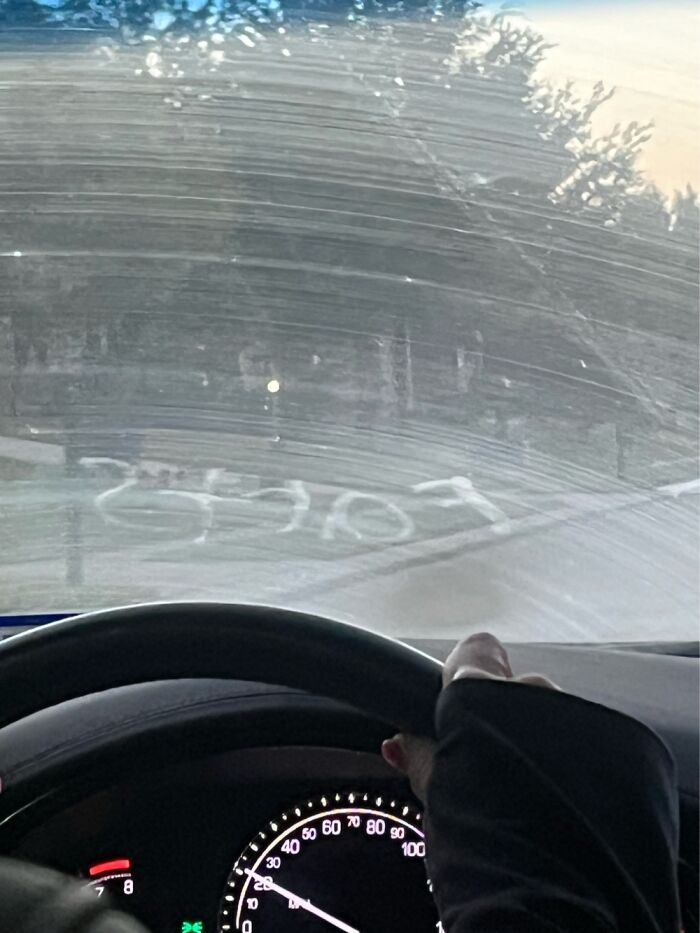 Hey Pandas, What Is The Dumbest Thing You Have Ever Bought? (Closed)