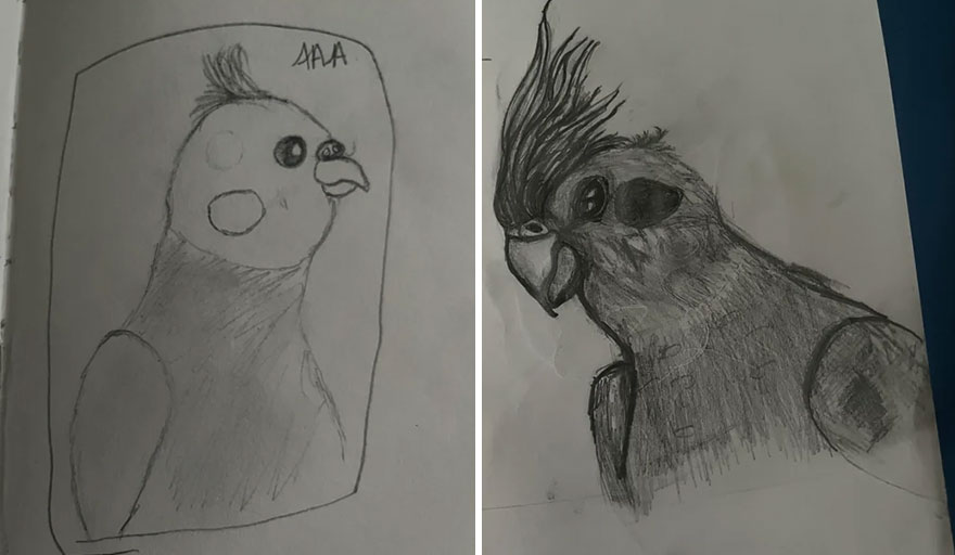 30 Times Artists Shared Their Work Online Proving They Worked Hard On Improving Their Skills