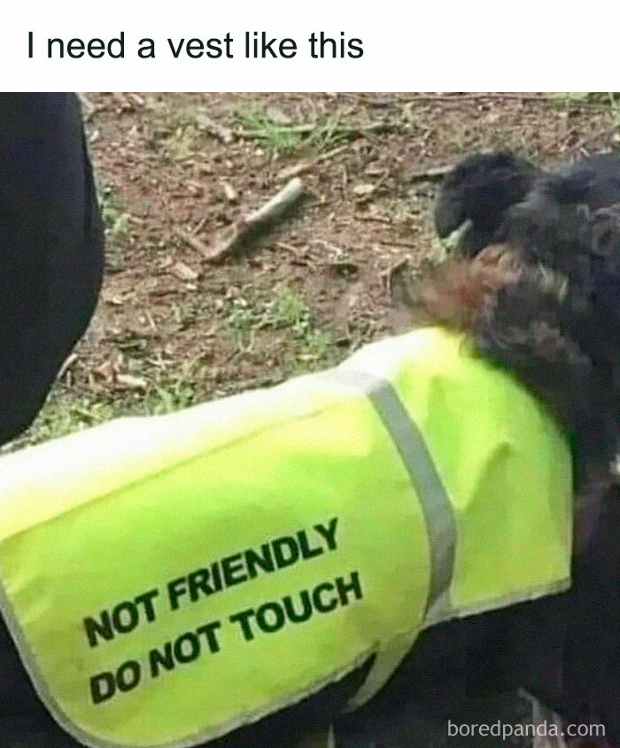 50 Spot On Memes That Hit A Little Too Close To Home To Many 50 Spot On Memes That Hit A Little Too Close To Home To Many