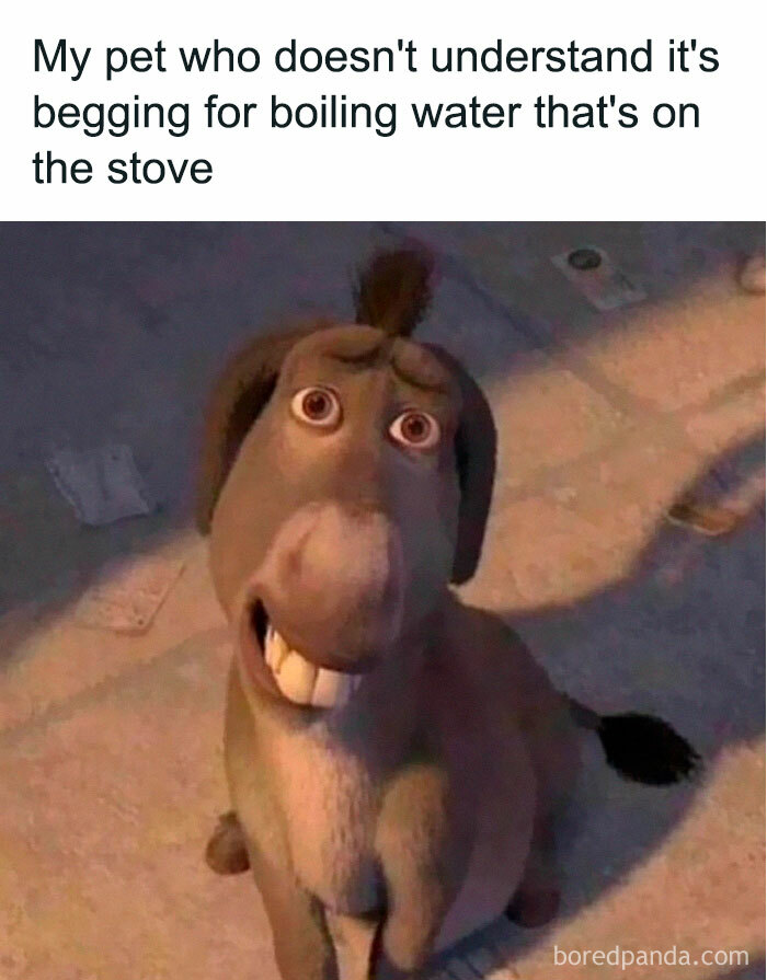 50 Spot On Memes That Hit A Little Too Close To Home To Many 50 Spot On Memes That Hit A Little Too Close To Home To Many