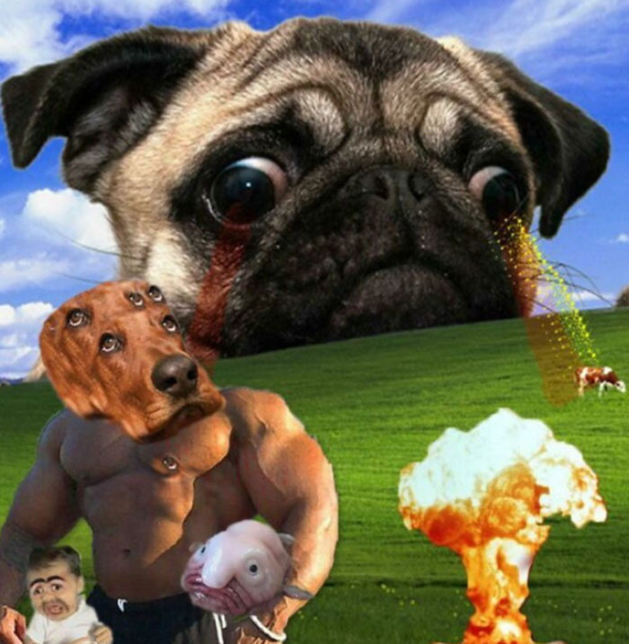 Hey Pandas, Show Me Your “The Longer You Look, The Worse It Gets” Photos (Closed) Hey Pandas, Show Me Your “The Longer You Look, The Worse It Gets” Photos (Closed)