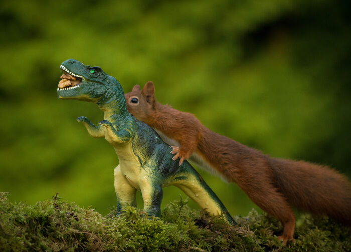 19 Pictures Of Squirrels Interacting With Dinosaurs Taken By Me 19 Pictures Of Squirrels Interacting With Dinosaurs Taken By Me