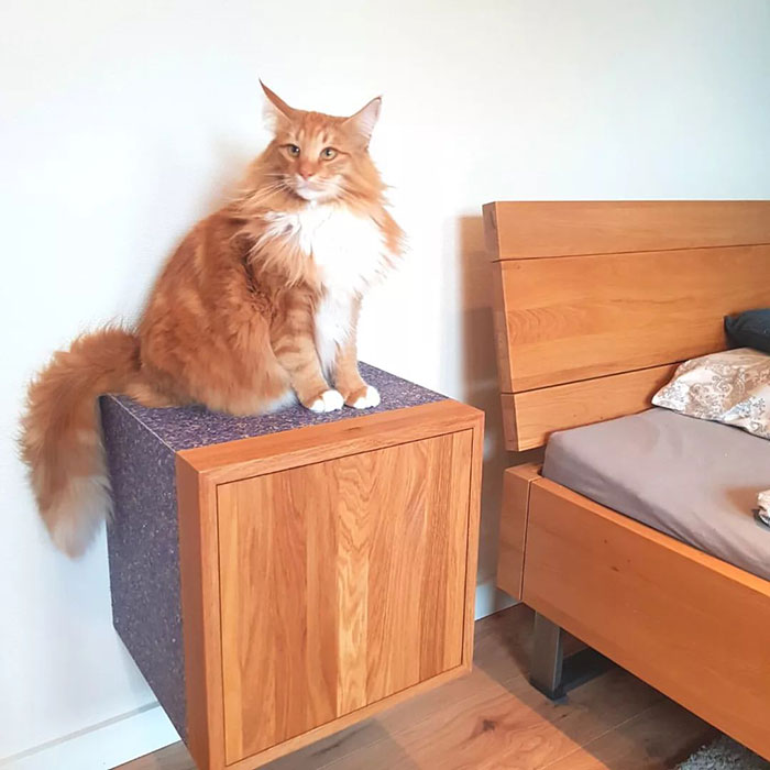 DIY Modern Floating Nightstand Ideas for Your Bedroom DIY Modern Floating Nightstand Ideas for Your Bedroom