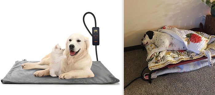 25 Game-Changing Dog Products That Every Pup Parent Should Own 25 Game-Changing Dog Products That Every Pup Parent Should Own