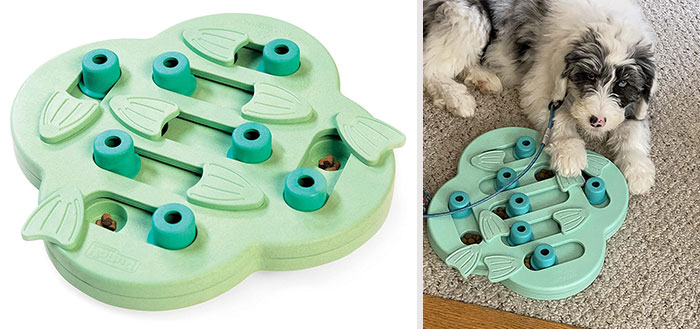 25 Game-Changing Dog Products That Every Pup Parent Should Own 25 Game-Changing Dog Products That Every Pup Parent Should Own