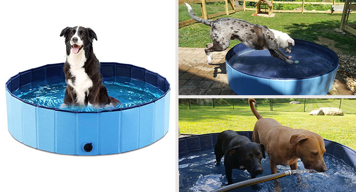 25 Game-Changing Dog Products That Every Pup Parent Should Own 25 Game-Changing Dog Products That Every Pup Parent Should Own