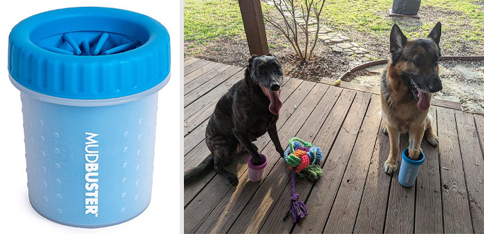 25 Game-Changing Dog Products That Every Pup Parent Should Own 25 Game-Changing Dog Products That Every Pup Parent Should Own