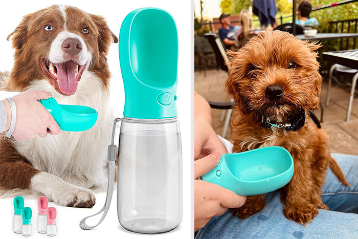 25 Game-Changing Dog Products That Every Pup Parent Should Own 25 Game-Changing Dog Products That Every Pup Parent Should Own