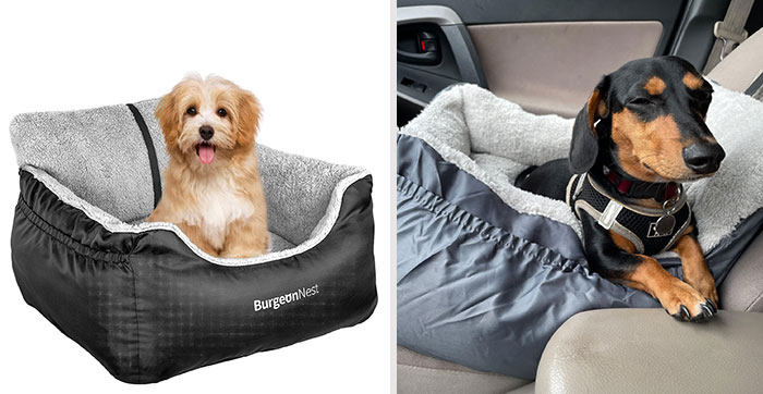 25 Game-Changing Dog Products That Every Pup Parent Should Own 25 Game-Changing Dog Products That Every Pup Parent Should Own