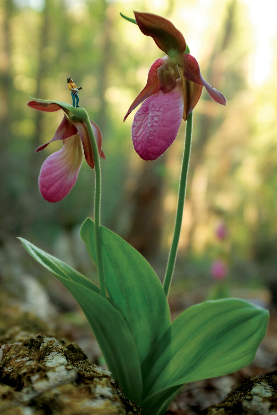 I Spent A Year Photographing The Tiny Residents Of Our Vegetable Farm, And Here Are The Best 20 Photos I Spent A Year Photographing The Tiny Residents Of Our Vegetable Farm, And Here Are The Best 20 Photos