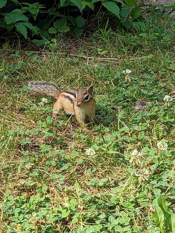 I Like Taking Pictures Of Nature At Cool Angles I Like Taking Pictures Of Nature At Cool Angles