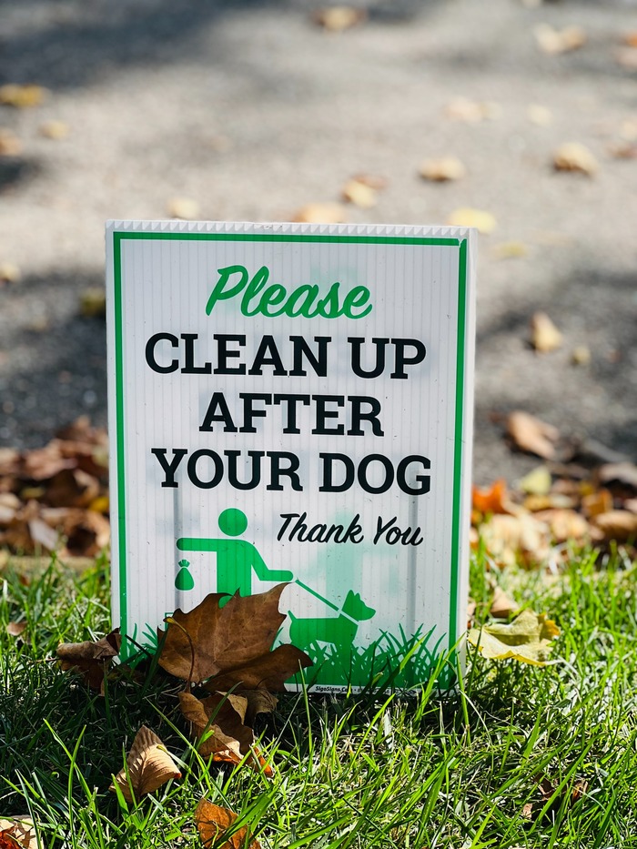 6 Effective Ways to Keep Dogs from Pooping in Your Yard 6 Effective Ways to Keep Dogs from Pooping in Your Yard
