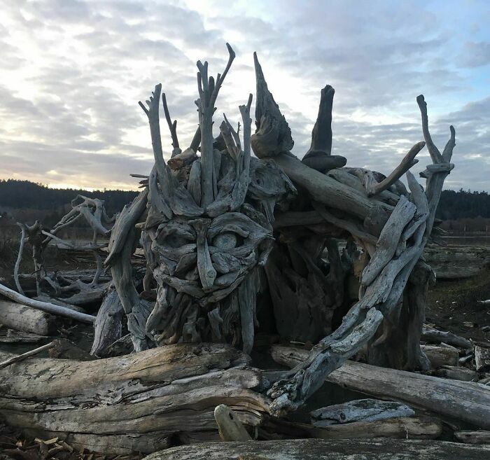 50 Of The Most Interesting Things People Ever Found On The Beach (New Pics) 50 Of The Most Interesting Things People Ever Found On The Beach (New Pics)