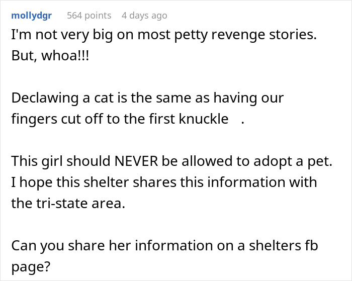 “I Thwarted This Attempt”: Woman Calls Shelter To Stop Ex-Friend From Adopting Kitten
