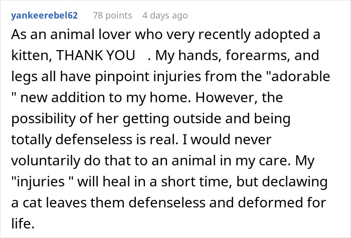 “I Thwarted This Attempt”: Woman Calls Shelter To Stop Ex-Friend From Adopting Kitten