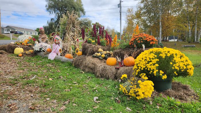 I Captured Our Festive Neighbor’s Decorations For Halloween