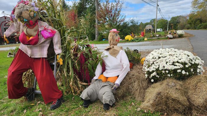 I Captured Our Festive Neighbor’s Decorations For Halloween